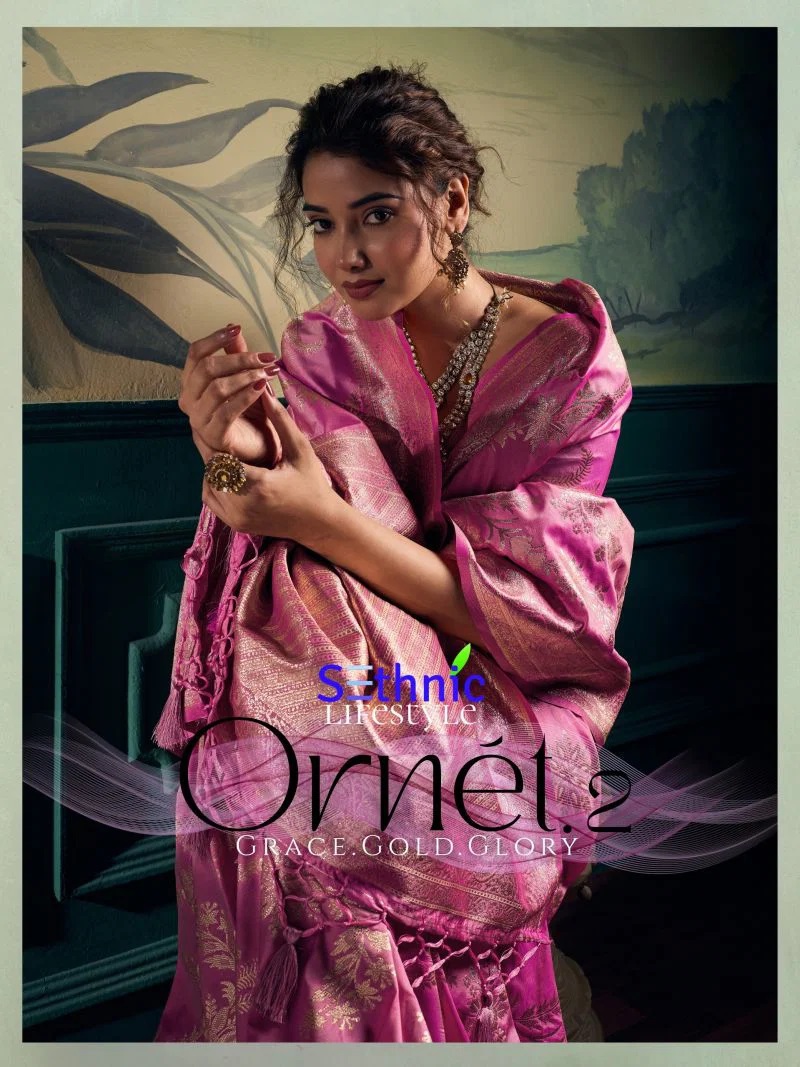 Sethnic Ornet Vol 2 Two Tone Banarasi Silk Saree Collection